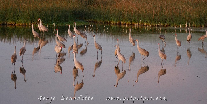2009-01-04 17-59-17__MG_0238.JPG